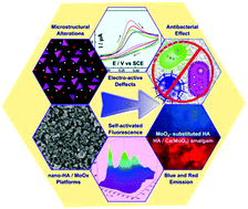 Graphical abstract: Self-fluorescent antibiotic MoOx–hydroxyapatite: a nano-theranostic platform for bone infection therapies