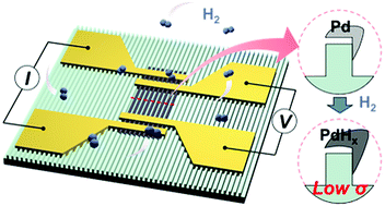 Graphical abstract: Stress-engineered palladium nanowires for wide range (0.1%–3.9%) of H2 detection with high durability