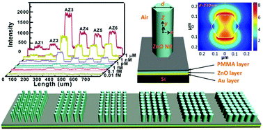 Graphical abstract: Diameter-optimized high-order waveguide nanorods for fluorescence enhancement applied in ultrasensitive bioassays