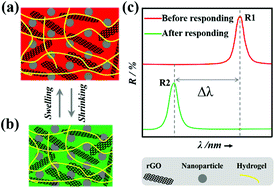 Graphical abstract: Graphene hybrid colloidal crystal arrays with photo-controllable structural colors
