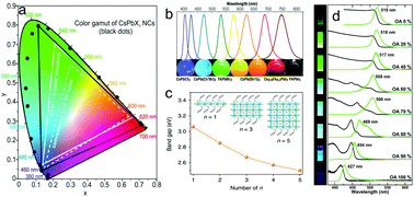 Graphical abstract: LEDs using halide perovskite nanocrystal emitters