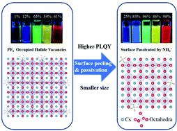 Graphical abstract: Enhancing the efficiency of CsPbX3 (X = Cl, Br, I) nanocrystals via simultaneous surface peeling and surface passivation