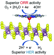 Graphical abstract: Two-dimensional MoS2/Fe-phthalocyanine hybrid nanostructures as excellent electrocatalysts for hydrogen evolution and oxygen reduction reactions