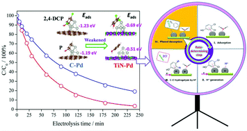 Graphical abstract: Identifying the rate-determining step of the electrocatalytic hydrodechlorination reaction on palladium nanoparticles