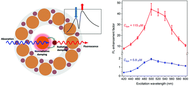 Graphical abstract: Manipulating the fluorescence of exciton–plasmon hybrids in the strong coupling regime with dual resonance enhancements