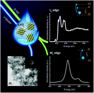 Graphical abstract: Towards the surface hydroxyl species in CeO2 nanoparticles