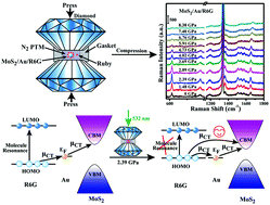 Graphical abstract: Pressure-induced SERS enhancement in a MoS2/Au/R6G system by a two-step charge transfer process