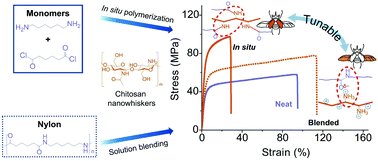 Graphical abstract: Rediscovery of nylon upgraded by interactive biorenewable nano-fillers