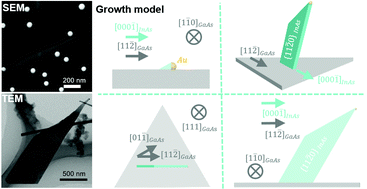 Graphical abstract: High-quality epitaxial wurtzite structured InAs nanosheets grown in MBE