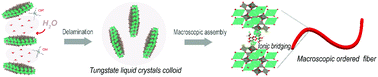 Graphical abstract: Ultra-tough and highly ordered macroscopic fiber assembly from 2D functional metal oxide nanosheet liquid crystals and strong ionic interlayer bridging