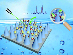 Graphical abstract: A split-type structure of Ag nanoparticles and Al2O3@Ag@Si nanocone arrays: an ingenious strategy for SERS-based detection
