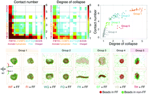 Graphical abstract: Expanding the structural diversity of peptide assemblies by coassembling dipeptides with diphenylalanine