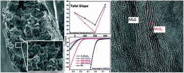 Graphical abstract: Light and complex 3D MoS2/graphene heterostructures as efficient catalysts for the hydrogen evolution reaction