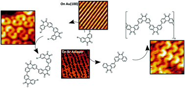 Graphical abstract: Direct observation of the geometric isomer selectivity of a reaction controlled via adsorbed bromine