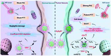 Graphical abstract: A glutathione-depleting chemodynamic therapy agent with photothermal and photoacoustic properties for tumor theranostics