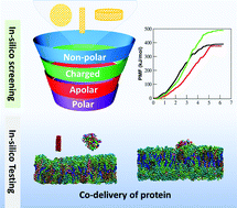 Graphical abstract: Permeation of nanoparticles across the intestinal lipid membrane: dependence on shape and surface chemistry studied through molecular simulations