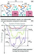 Graphical abstract: Nanoscale in silico classification of ligand functionalised surfaces for protein adsorption resistance