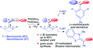 Graphical abstract: PdII-Catalyzed methoxylation of C(sp3)–H bonds adjacent to benzoxazoles and benzothiazoles