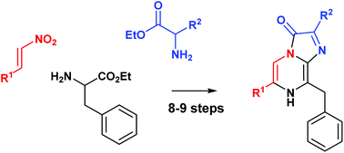 Graphical abstract: Gram-scale synthesis of luciferins derived from coelenterazine and original insights into their bioluminescence properties