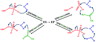 Graphical abstract: Diversity of mechanisms in Ras–GAP catalysis of guanosine triphosphate hydrolysis revealed by molecular modeling