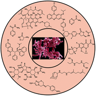 Graphical abstract: Strategies towards the synthesis of anti-tuberculosis drugs