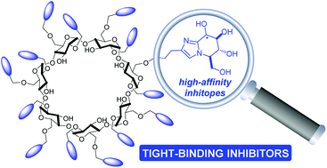 Graphical abstract: Tight-binding inhibition of jack bean α-mannosidase by glycoimidazole clusters