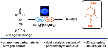 Graphical abstract: Visible-light-driven catalytic oxidation of aldehydes and alcohols to nitriles by 4-acetamido-TEMPO using ammonium carbamate as a nitrogen source