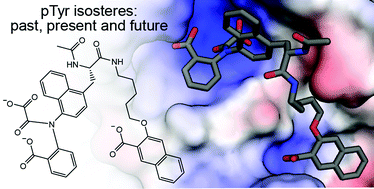 Graphical abstract: Phosphotyrosine isosteres: past, present and future