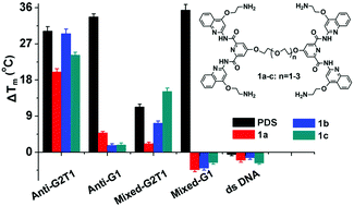 Graphical abstract: Dimers formed with the mixed-type G-quadruplex binder pyridostatin specifically recognize human telomere G-quadruplex dimers