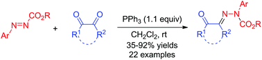 Graphical abstract: Condensation of 1,2-dicarbonyl compounds with modified Huisgen zwitterions: synthesis of N-aryl–N-acyl hydrazones