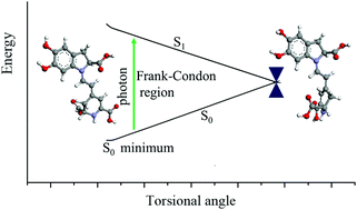 Graphical abstract: Conical intersections and the weak fluorescence of betalains