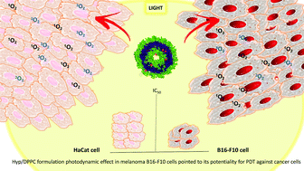 Graphical abstract: Hypericin photodynamic activity in DPPC liposomes – part II: stability and application in melanoma B16-F10 cancer cells