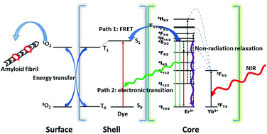Graphical abstract: Decomposition of amyloid fibrils by NIR-active upconversion nanoparticles