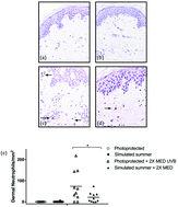 Graphical abstract: Photoprotection conferred by low level summer sunlight exposures against pro-inflammatory UVR insult