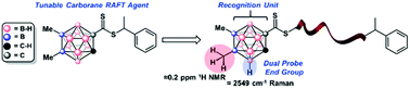 Graphical abstract: Carborane RAFT agents as tunable and functional molecular probes for polymer materials
