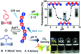 Graphical abstract: Amino acid-derived alternating polyampholyte luminogens