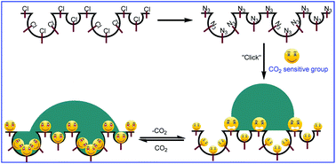 Graphical abstract: CO2-Driven reversible wettability in a reactive hierarchically patterned bio-inspired honeycomb film