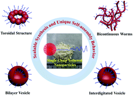 Graphical abstract: Single-chain tethered nanoparticles with tunable softness: scalable synthesis and unique self-assembly behavior