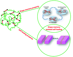 Graphical abstract: The journey of self-healing and shape memory polyurethanes from bench to translational research