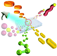 Graphical abstract: A cocktail of vitamins for aqueous RAFT polymerization in an open-to-air microtiter plate