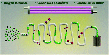 Graphical abstract: Photo-induced copper-RDRP in continuous flow without external deoxygenation