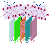 Graphical abstract: Efficient and stable perovskite solar cells based on perfluorinated polymers