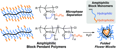 Graphical abstract: Self-assembly of amphiphilic block pendant polymers as microphase separation materials and folded flower micelles