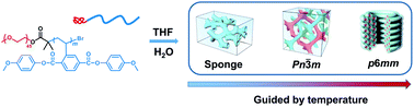 Graphical abstract: Temperature-controlled formation of inverse mesophases assembled from a rod–coil block copolymer