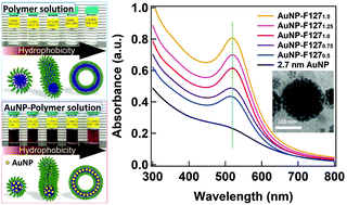 Graphical abstract: Self-assembly of gold nanoparticles in a block copolymer aggregate template driven by hydrophobic interactions