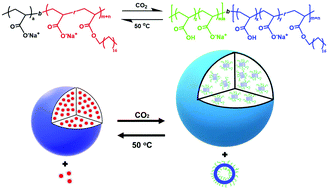 Graphical abstract: CO2-Triggered and temperature-switchable crystallization-driven self-assembly of a semicrystalline block copolymer in aqueous medium