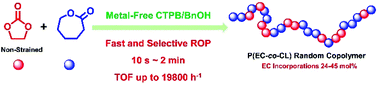 Graphical abstract: Fast, selective and metal-free ring-opening polymerization to synthesize polycarbonate/polyester copolymers with high incorporation of ethylene carbonate using an organocatalytic phosphazene base