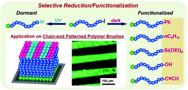 Graphical abstract: A photo-selective chain-end modification of polyacrylate-iodide and its application in patterned polymer brush synthesis