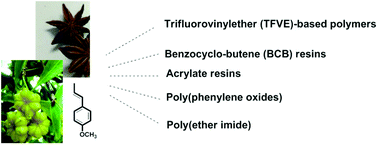 Graphical abstract: Biomass materials derived from anethole: conversion and application