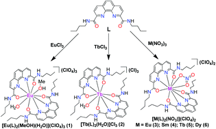 Graphical abstract: Syntheses, crystal structures and magnetic properties of a series of luminescent lanthanide complexes containing neutral tetradentate phenanthroline-amide ligands